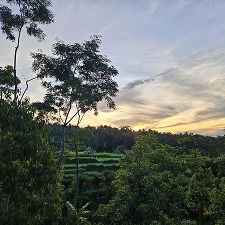 Tetebatu Fullmoon Hotel Luaran gambar
