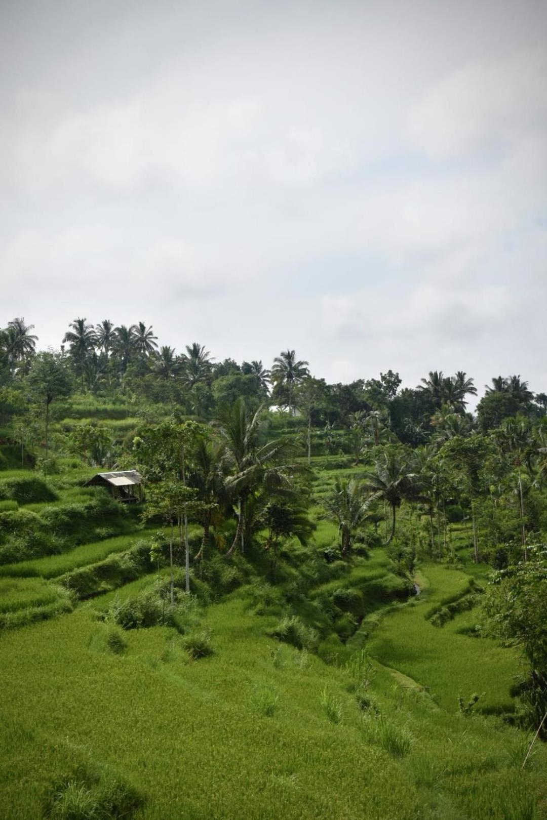 Tetebatu Fullmoon Hotel Luaran gambar