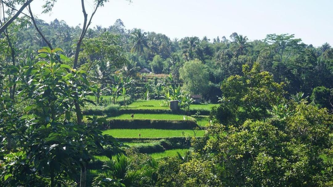 Tetebatu Fullmoon Hotel Luaran gambar